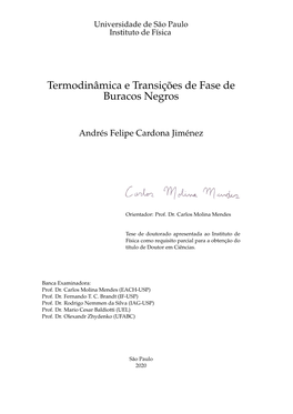 Termodinâmica E Transições De Fase De Buracos Negros