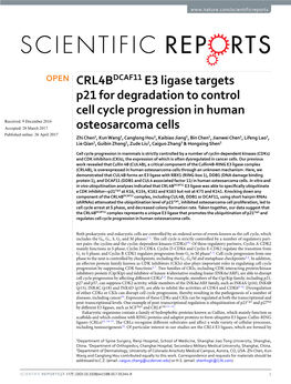 CRL4BDCAF11 E3 Ligase Targets P21 for Degradation to Control Cell Cycle