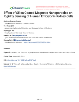 Effect of Silica-Coated Magnetic Nanoparticles on Rigidity Sensing of Human Embryonic Kidney Cells