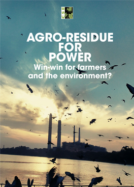 AGRO-RESIDUE for POWER Win-Win for Farmers and the Environment?