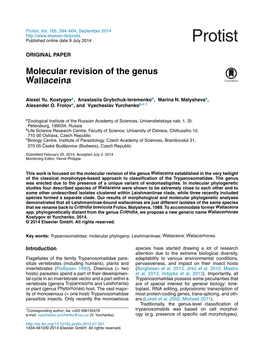 Molecular Revision of the Genus Wallaceina