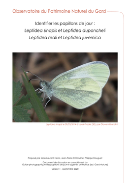 Fiche Id Leptidea.Pdf