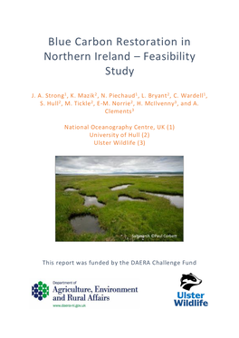 Blue Carbon Restoration in Northern Ireland – Feasibility Study