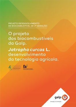 O Projeto Dos Biocombustíveis Da Galp. Jatropha Curcas L