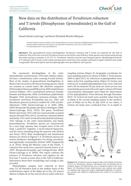 Torodinium Robustum and T