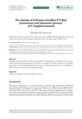 The Identity of Callicarpa Minutiflora YY Qian (Lamiaceae)
