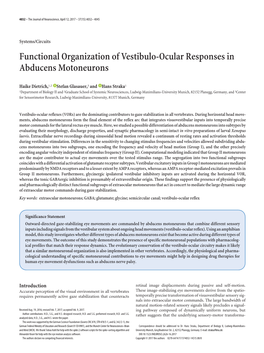 Functional Organization of Vestibulo-Ocular Responses in Abducens Motoneurons