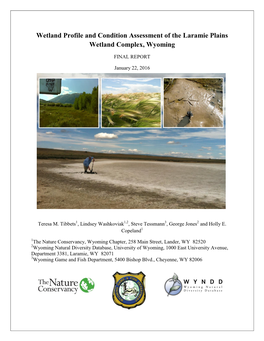 Wetland Profile and Condition Assessment of the Laramie Plains Wetland Complex, Wyoming