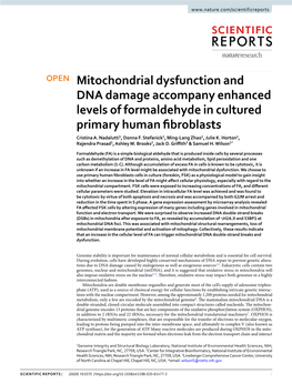 Mitochondrial Dysfunction and DNA Damage Accompany Enhanced Levels of Formaldehyde in Cultured Primary Human Fbroblasts Cristina A