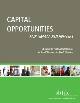 Capital Opportunities for Small Businesses