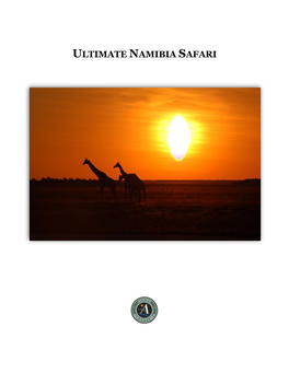 ULTIMATE NAMIBIA SAFARI Itinerary Overview