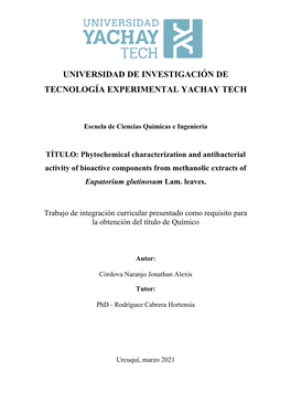 Universidad De Investigación De Tecnología Experimental Yachay Tech