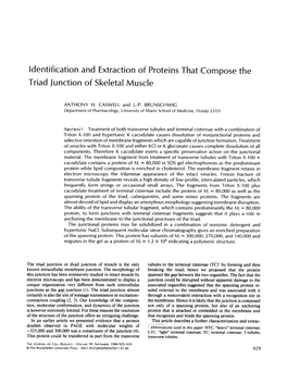 Identification and Extraction of Proteins That Triad Junction Of