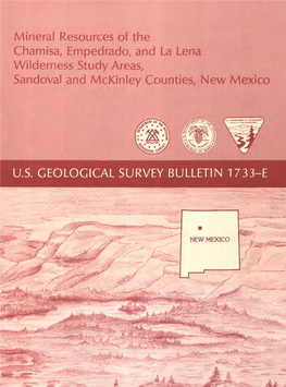 Mineral Resources of the Chamisa, Empedrado, and La Lena Wilderness Study Areas, Sandoval and Mckinley Counties, New Mexico