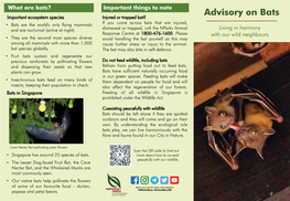 Advisory on Bats