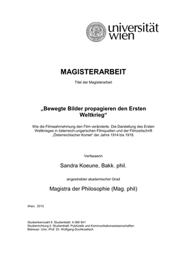 Magisterarbeit