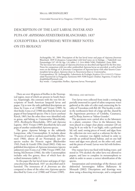 Description of the Last Larval Instar and Pupa of Aspisoma Fenestrata Blanchard, 1837 (Coleoptera: Lampyridae) with Brief Notes on Its Biology