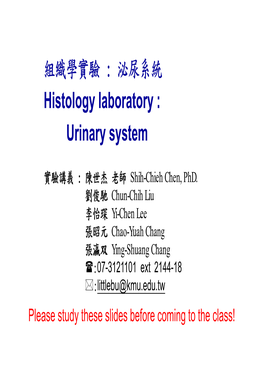 組織學實驗 : 泌尿系統 Histology Laboratory : Urinary System