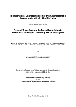 Roles of Thrombus and Collagen Remodeling in Intramural Healing of Dissecting Aortic Aneurysms