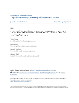 Genes for Membrane Transport Proteins: Not So Rare in Viruses Timo Greiner Brandenburg Medical School, T.Greiner@Immanuel.De