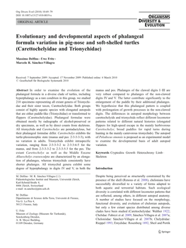 Evolutionary and Developmental Aspects of Phalangeal Formula Variation in Pig-Nose and Soft-Shelled Turtles (Carettochelyidae and Trionychidae)