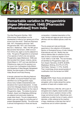 Remarkable Variation in Phryganistria Virgea (Westwood, 1848) [Pharnaciini (Phasmatidae)] from India