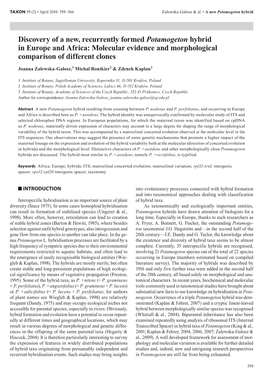 Discovery of a New, Recurrently Formed Potamogeton Hybrid in Europe and Africa: Molecular Evidence and Morphological Comparison of Different Clones