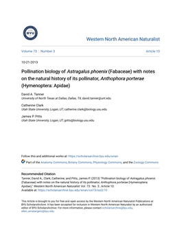 Pollination Biology of Astragalus Phoenix (Fabaceae) with Notes on the Natural History of Its Pollinator, Anthophora Porterae (Hymenoptera: Apidae)