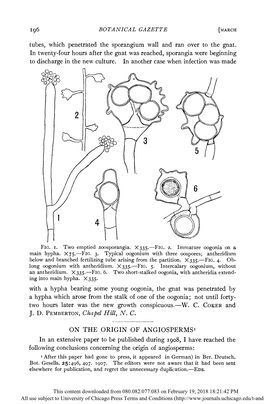 On the Origin of Angiosperms