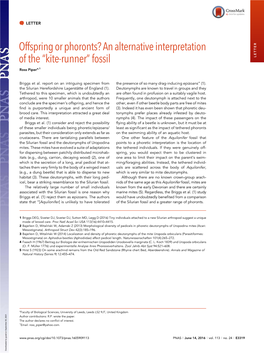 Offspring Or Phoronts? an Alternative Interpretation of the “Kite-Runner” Fossil LETTER Ross Pipera,1