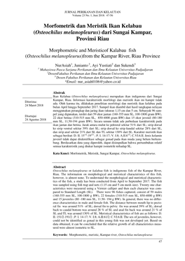 Morfometrik Dan Meristik Ikan Kelabau (Osteochilus Melanopleurus) Dari Sungai Kampar, Provinsi Riau