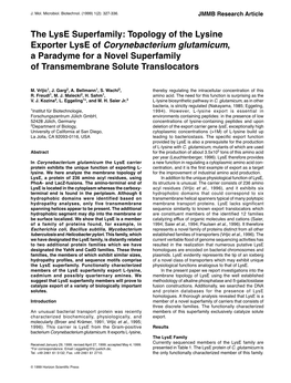 The Lyse Superfamily: Topology of the Lysine Exporter Lyse of Corynebacterium Glutamicum, a Paradyme for a Novel Superfamily of Transmembrane Solute Translocators