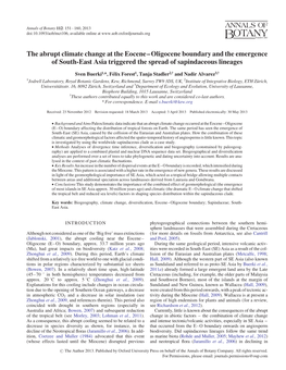 The Abrupt Climate Change at the Eocene–Oligocene Boundary and the Emergence of South-East Asia Triggered the Spread of Sapindaceous Lineages