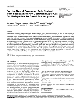 Porcine Neural Progenitor Cells Derived from Tissue at Different