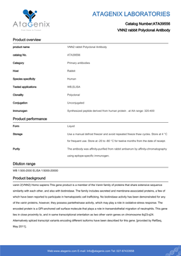 ATA39556-VNN2 Rabbit Polyclonal Antibody