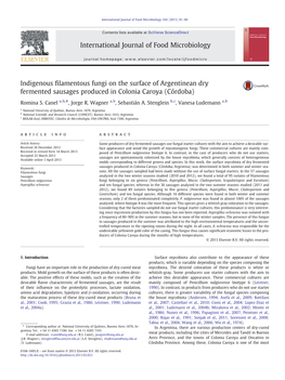 Indigenous Filamentous Fungi on the Surface of Argentinean Dry