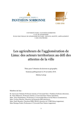 Les Agriculteurs De L'agglomération De Lima: Des Acteurs Territoriaux Au Défi Des Attentes De La Ville