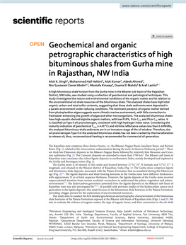 Geochemical and Organic Petrographic Characteristics of High Bituminous Shales from Gurha Mine in Rajasthan, NW India Alok K