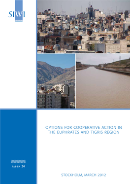 Options for Cooperative Action in the Euphrates and Tigris Region