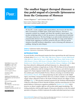 The Smallest Biggest Theropod Dinosaur: a Tiny Pedal Ungual of a Juvenile Spinosaurus from the Cretaceous of Morocco