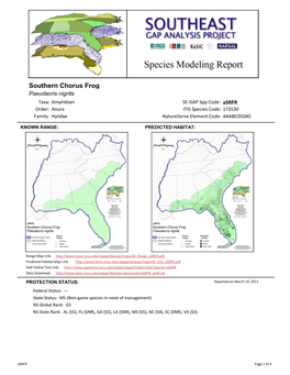 Southern Chorus Frog