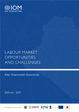 Labour Market Opportunities and Challenges