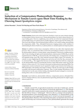 Induction of a Compensatory Photosynthetic Response Mechanism in Tomato Leaves Upon Short Time Feeding by the Chewing Insect Spodoptera Exigua