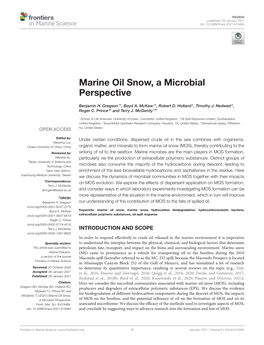 Marine Oil Snow, a Microbial Perspective