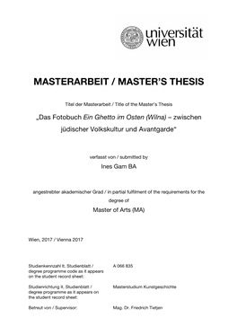 Masterarbeit / Master's Thesis