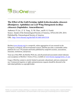 The Effect of the Gall-Forming Aphid Schlechtendalia Chinensis