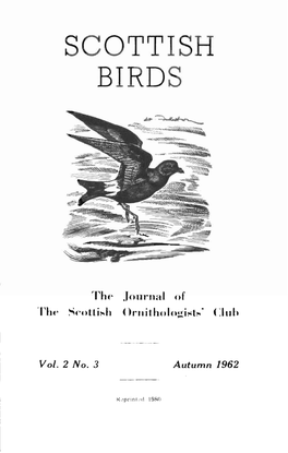 Scottish Birds