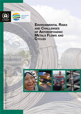 Environmental Risks and Challenges of Anthropogenic Metals Flows and Cycles, a Through Global Markets