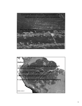 Concerns About Habitat Fragmentation and Biodiversity: Example from Amazonia