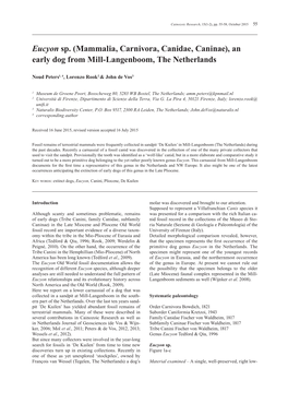 Eucyon Sp. (Mammalia, Carnivora, Canidae, Caninae), an Early Dog from Mill-Langenboom, the Netherlands